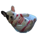 Sticker Frenchie Sticker Pack - 9
