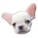 Sticker Frenchie Sticker Pack - 10