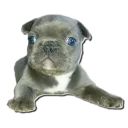 Sticker Frenchie Sticker Pack - 11