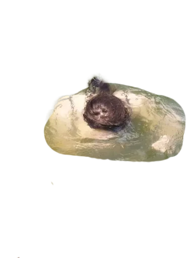 Стикер friends_memory - 1