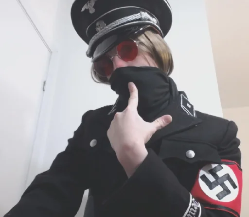 Стикер fritznek - 1