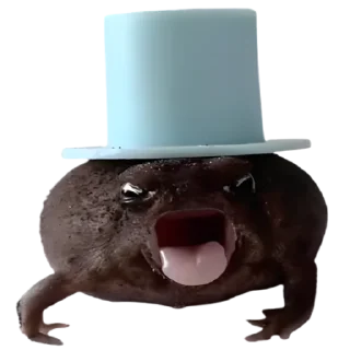 Sticker frogs by @normtips @normsticks - 11