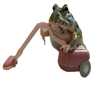 Sticker frogs by @normtips @normsticks - 4