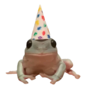 Sticker frogs by @normtips @normsticks - 5