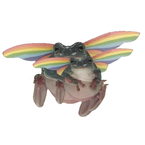 Sticker froghiiies - 1