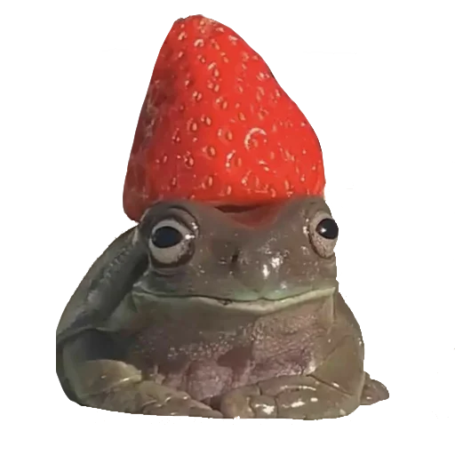 Sticker froghiiies - 1