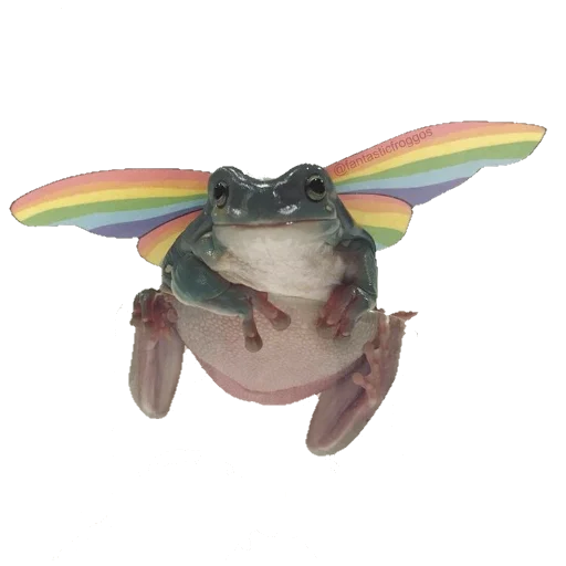 Sticker froghiiies - 1