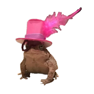 Стикер жабенятки - 1