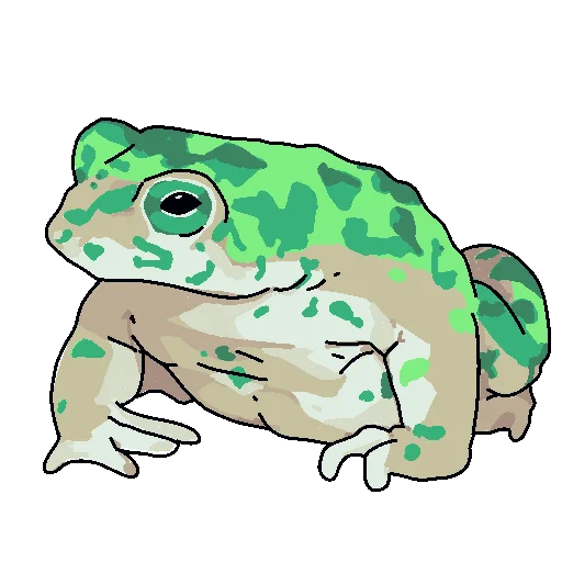 frog animal amphibian