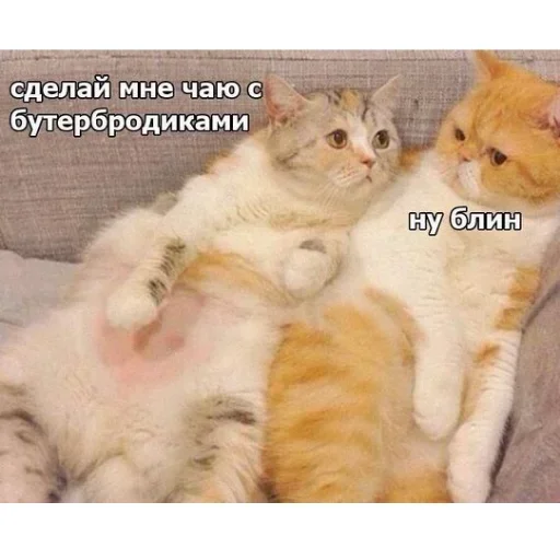 Sticker ftmjuEBKZ_by_stickers_stealer_bot - 1