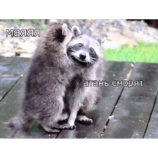 Стикер Больше стикеров 👉🏻 @stickertg4 - 1