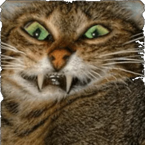 животное млекопитающее кошка