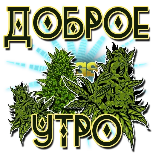 text graphics graphic design