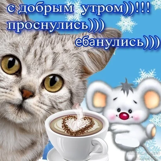 animal mammal coffee cup