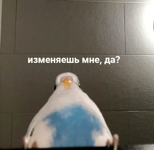 Sticker теряю голову и постоянно хочу видеть тебя голую - 2