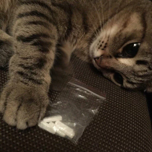 Sticker fucurdaddy - 1