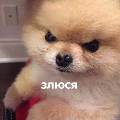 Sticker fucurdaddy - 1