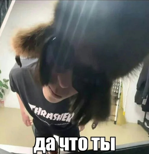 СМС Человек млекопитающее