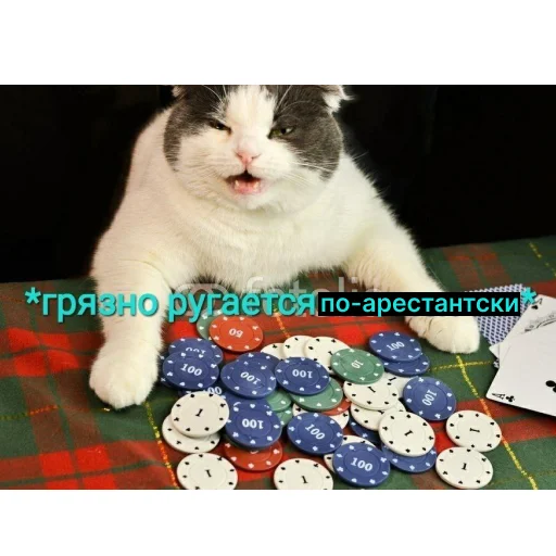 Sticker fuflobank - 1