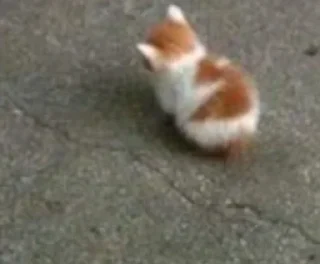 Sticker bublepack - 1