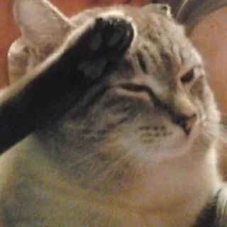 Sticker bublepack - 4