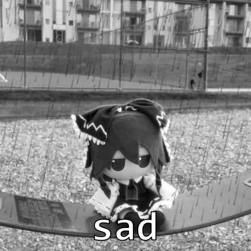 outdoor black and white mammal