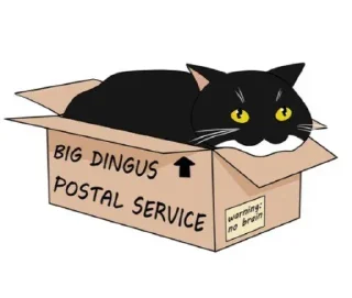 cat container animal