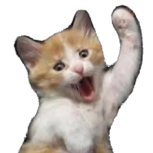 Sticker funnyanimals_840_by_anime4_robot - 1