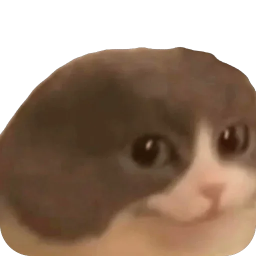 Sticker funnyanimals_840_by_anime4_robot - 1