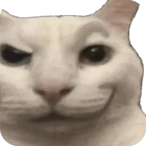 Sticker funnyanimals_840_by_anime4_robot - 1