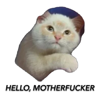 Стикер Funny animals @anime4_arts - 6