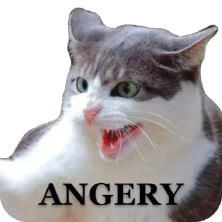 Стикер Funny animals @anime4_arts - 7