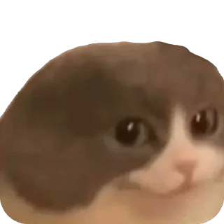 Стикер Funny animals @anime4_arts - 10