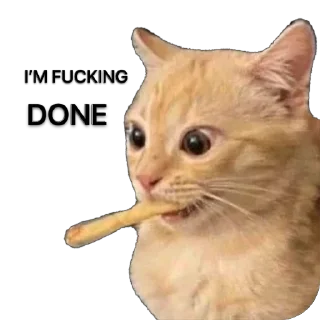 Стикер Funny animals @anime4_arts - 2