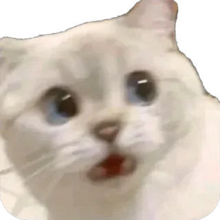 Стикер Funny animals @anime4_arts - 5