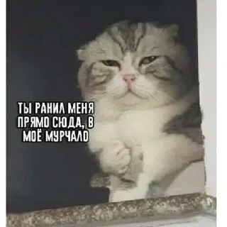 Стикер Взято из:@st1ckers4u - 6