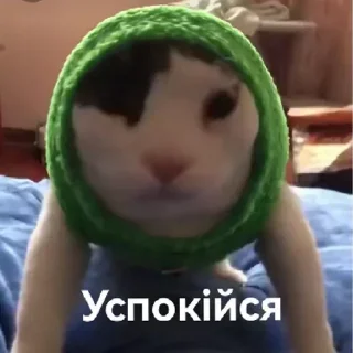 Стикер Взято из:@st1ckers4u - 8