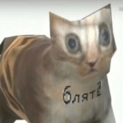 Sticker funnymemekitty - 1