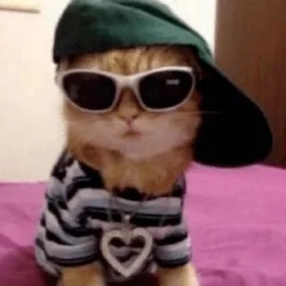 Стикер kitty - 0