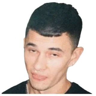 Sticker стикеры с obladaet на каждый день - 6