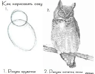 Sticker fur artists problems - 2