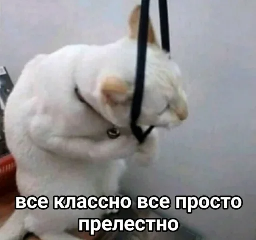 Sticker fustaska_pack - 1