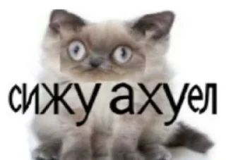 Sticker пак :: @fustaska - 8