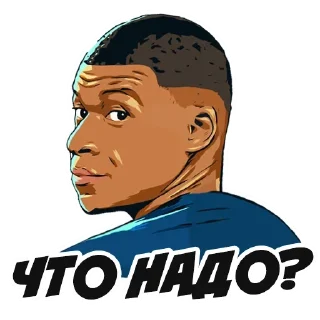 Sticker Stickers @stickersb2b - 7