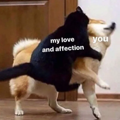 животное млекопитающее собака