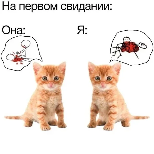 Sticker fwQLKdsUFwhGJW_by_stickers_stealer_bot - 1