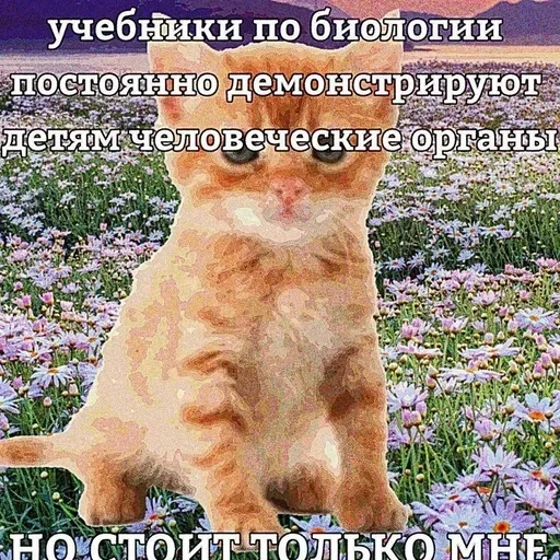 @stiki_tg_nah_canal - 