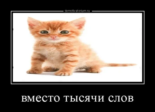 Sticker fwQLKdsUFwhGJW_by_stickers_stealer_bot - 1