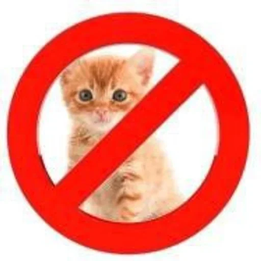 Sticker fwQLKdsUFwhGJW_by_stickers_stealer_bot - 1