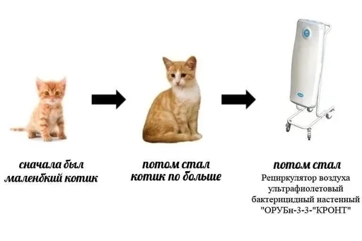 Sticker fwQLKdsUFwhGJW_by_stickers_stealer_bot - 1